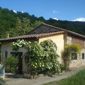 Il Cielo Bio - Il Piccolo Del Chianti Bed & Breakfast Greve in Chianti
